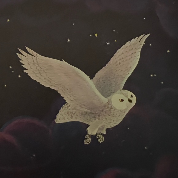 Meet your Posher, Lisa.  Hi everyone!! I hope u like my closet!! - Picture 4 of 16